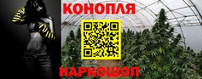 СК Абинск