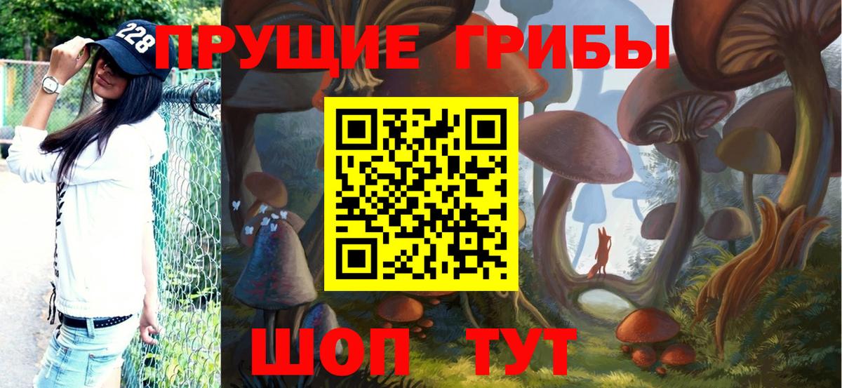 Псилоцибиновые грибы мицелий Александров