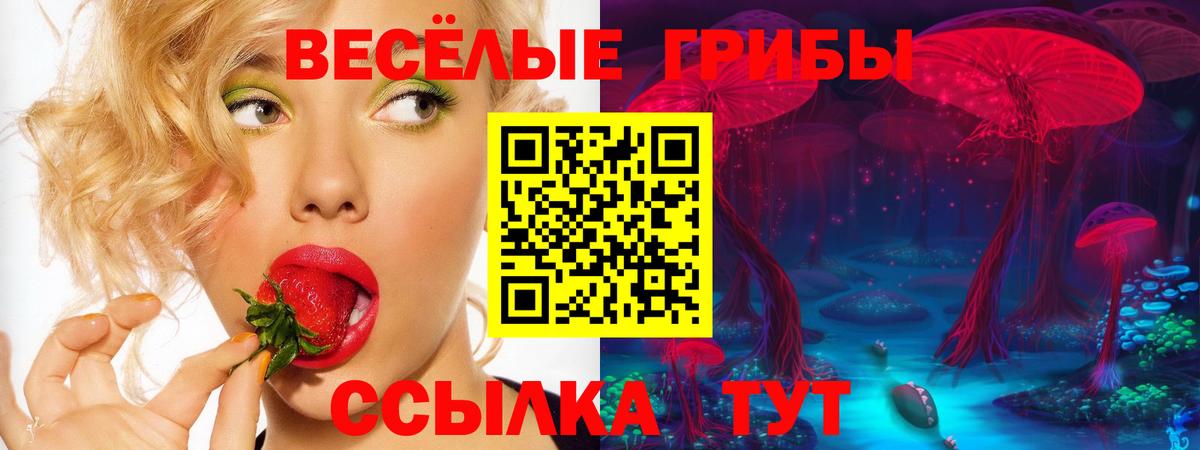 Псилоцибиновые грибы Magic Shrooms  где купить наркотик  Александров  Галлюциногенные грибы MAGIC MUSHROOMS  Вход с VPN 